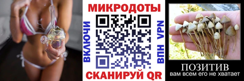 Псилоцибиновые грибы GOLDEN TEACHER Нариманов
