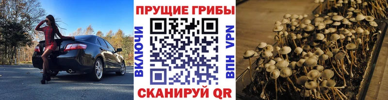 как найти наркотики  Нариманов  Галлюциногенные грибы мицелий 